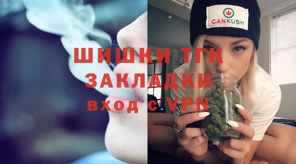 стафф Бородино