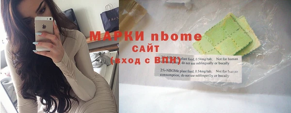 стафф Бородино