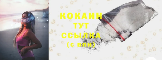 стафф Бородино