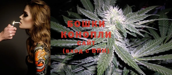 МДПВ Бронницы