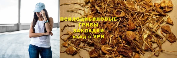 МДПВ Бронницы