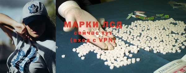 стафф Бородино