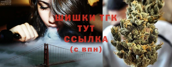 стафф Бородино