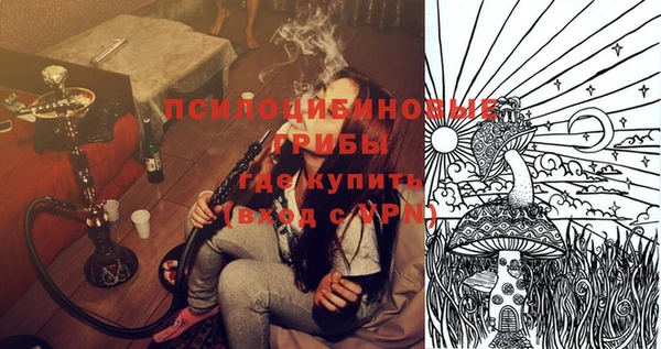 МДПВ Бронницы